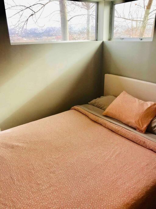 Dreamloft And Patio On The Hill Βίλα Cedar City Εξωτερικό φωτογραφία